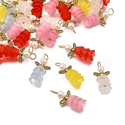 50 шт. 5-х цветные подвески из АБС-пластика с имитацией жемчуга&nbsp;PALLOY-JF03909