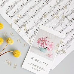 100 шт. 4 вида скрепок из углеродистой стали&nbsp;FIND-CP0001-48