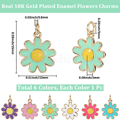 6шт 6 цвета латунные подвески с эмалью&nbsp;KK-BBC0021-50