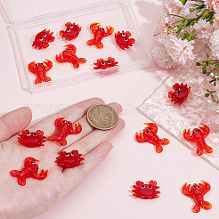 16шт 2 стиля ручной работы бусины лэмпворк&nbsp;LAMP-NB0002-23