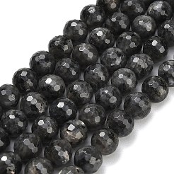 Натуральные нити бус из ларвикита&nbsp;G-C280-B06-10mm