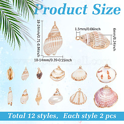 24 шт. 12 стиля подвески из натуральных ракушек с гальваническим покрытием&nbsp;SSHEL-ME0001-06