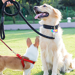 50шт 5 цвета подвески из нержавеющей стали&nbsp;STAS-WA0001-01