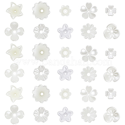 600 шт. 10 стиля АБС-пластиковые колпачки для бусин с имитацией жемчуга и акрила&nbsp;OACR-SC0002-36