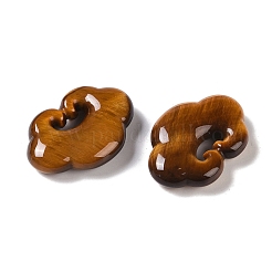 Природных тигровый глаз подвески&nbsp;G-I361-03A