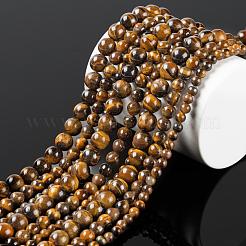 3 нить 3 размера 4 мм 6 мм 8 мм класс AB натуральный тигровый глаз круглые бусины нити&nbsp;G-FS0001-20