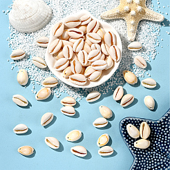 100 шт. бусины из натуральной ракушки каури&nbsp;BSHE-LT0001-03B