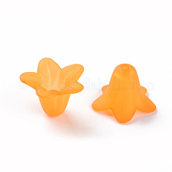 Прозрачные акриловые бусины&nbsp;PLF018-08