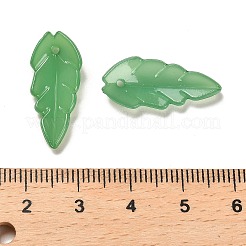 Полупрозрачные акриловые подвески&nbsp;OACR-Z016-09B