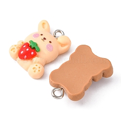 10шт 10 стильные подвески из смолы животных&nbsp;RESI-YW0001-21