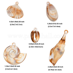 25 шт.&nbsp;OACR-FP0001-36