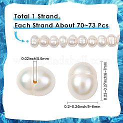 1 нить натуральных бусин из жемчуга Кеши&nbsp;PEAR-SC0001-38