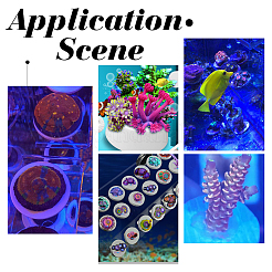 24 шт. 2 стили коралловых фрагментов плитки&nbsp;AJEW-CA0002-82