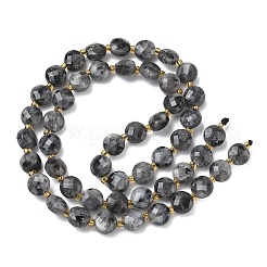 Натуральные нити бус из ларвикита&nbsp;G-K389-B85-01