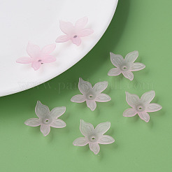 Прозрачные акриловые бусины&nbsp;MACR-S373-127-D03