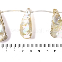 Нити бусин из натуральных пресноводных раковин с гальваническим покрытием BSHE-S304-02