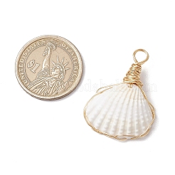 Подвески из натуральной ракушки&nbsp;PALLOY-JF03494