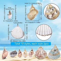 20 шт. 10 стиля гальванизированных подвесок из смешанных ракушек&nbsp;SHEL-SC0001-54