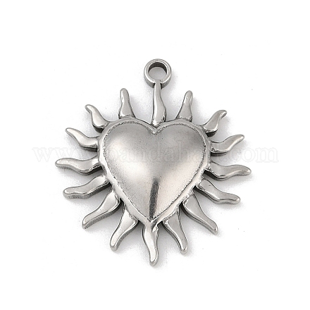 Подвески из нержавеющей стали 304&nbsp;LS-STAS-D366-01K-P-1