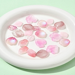 120 шт. 6 стиля осенняя тематика двухцветные прозрачные стеклянные подвески&nbsp;GLAA-FS0002-23