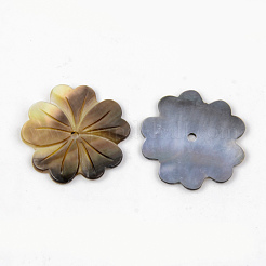 Натуральные черные бусины из ракушек для губ SHEL-R049-011