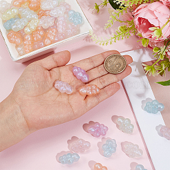 60 шт. Прозрачные акриловые бусины&nbsp;OACR-ME0001-24