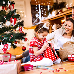 100 шт. пластиковое украшение для вечеринки на рождественскую тематику&nbsp;FEPA-UN0001-01