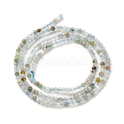 Натуральный цветок амазонитовые бусины пряди&nbsp;LS-G-RM2025-02B-2mm