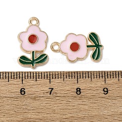 Подвески из эмали и сплава&nbsp;FIND-D304-01C-KCG