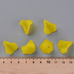 Прозрачные колпачки акриловая бисера&nbsp;X-PL551-C09