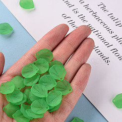 Прозрачные матовые акриловые подвески&nbsp;MACR-S371-02A-734