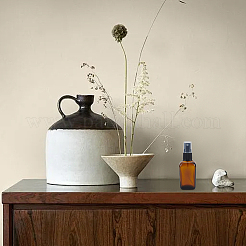 6 шт. стеклянные флаконы-распылители&nbsp;AJEW-WR0002-97