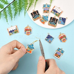 12шт 6 стиля подвески из сплава с эмалью&nbsp;FIND-YW0007-73