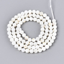 Нити бусин из натуральных пресноводных ракушек&nbsp;SHEL-N038-32