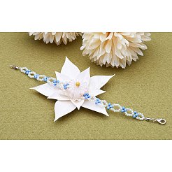 Сплав цинка сплава смешанные размеры омаров застежки и железные скачки ювелирные изделия в одной коробке для ремесла&nbsp;PALLOY-PH0001-01