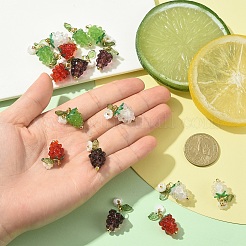 5 шт. подвески в виде винограда ручной работы из смолы и акрила&nbsp;PALLOY-YW00128-01