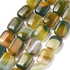 Натуральные полосатые агатовые бусы&nbsp;G-K392-B05-13x18mm