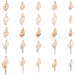 5 шт. подвески из натуральных спиральных ракушек с гальваническим покрытием&nbsp;BSHE-YW0001-09