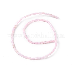 Натуральные пресноводные окрашенные бусы из ракушек&nbsp;SHEL-M018-12-09