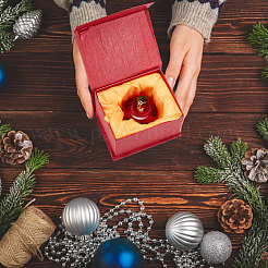 2 шт. 2 цвета яблочное стекло домашние украшения&nbsp;DJEW-NB0001-31