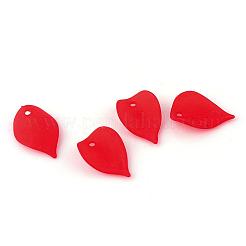 Прозрачные акриловые подвески&nbsp;FACR-Q009-20