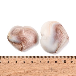 Натуральные кабошоны из ракушек глаз Шивы SHEL-H006-01B