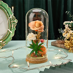 1 шт. стеклянный купол&nbsp;AJEW-BC0009-61