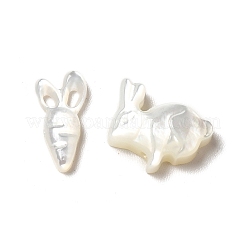 Наборы бусин из натуральных пресноводных ракушек BSHE-E026-10