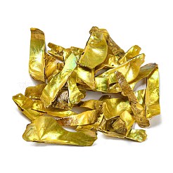 Большие подвески из натуральной ракушки акоя&nbsp;BSHE-G034-09