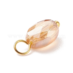 Подвески гальванизируйте стекла&nbsp;PALLOY-JF01541-02