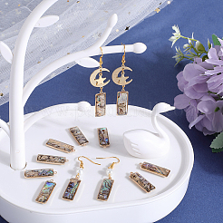 12 шт. подвески из натуральной ракушки пауа&nbsp;KK-SC0005-37