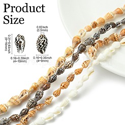 4 нить 4 цвета натуральные пресноводные ракушки бусины нити&nbsp;SHEL-CJ0001-38