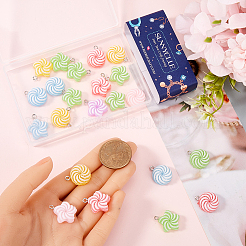 40шт 2 стиля непрозрачные подвески из смолы&nbsp;RESI-SC0003-32