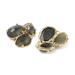 Соединители из натурального лабрадорита&nbsp;G-E526-28F